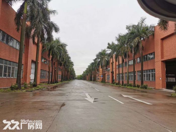 江门五邑地区工业园有厂房仓库出租-图3