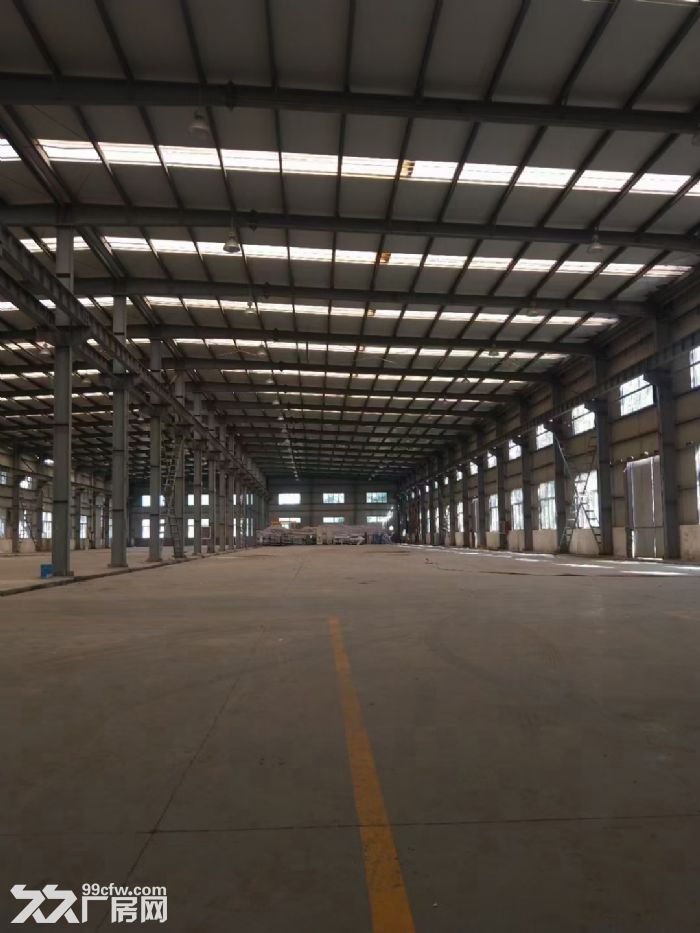 蓬江工业园区33000平标准钢结构工业厂房出租可分租-图1