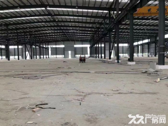 新会工业园区标准钢结构工业厂房出租可分租-图1