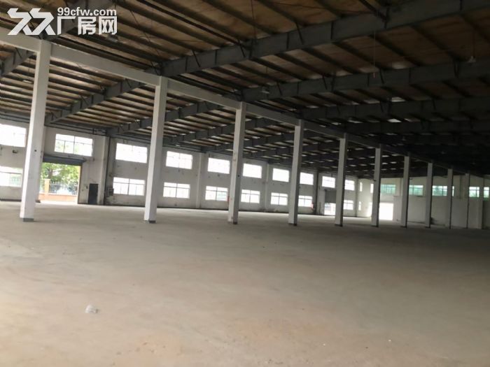 台山工业园区38000平标准钢结构工业厂房出租可分租-图1