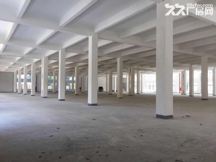 鹤山工业新城工业园电梯厂房2000平方一层招租-图2