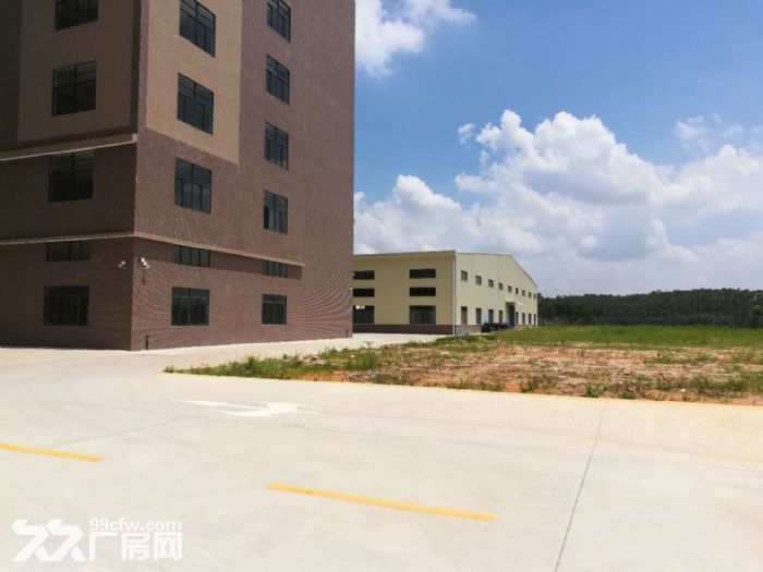 鹤山工业新城工业园电梯厂房2000平方一层招租-图5