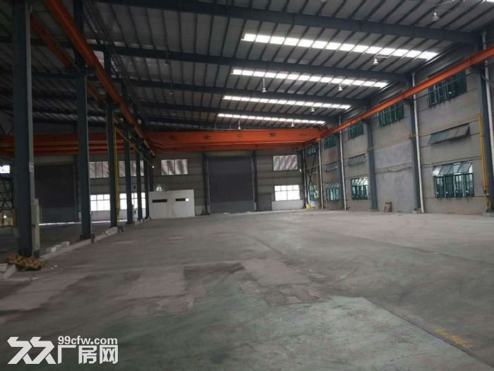 新会大泽15000平方厂房，大路边大小都可以分租-图4