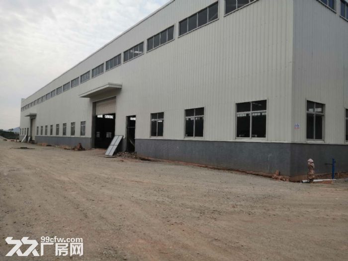 江门台山工业新城独院空地大50000平方厂房仓库招租-图3