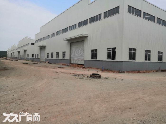 江门台山工业新城独院空地大50000平方厂房仓库招租-图5