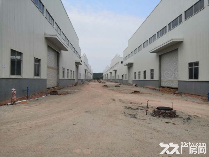 江门台山工业新城独院空地大50000平方厂房仓库招租-图4