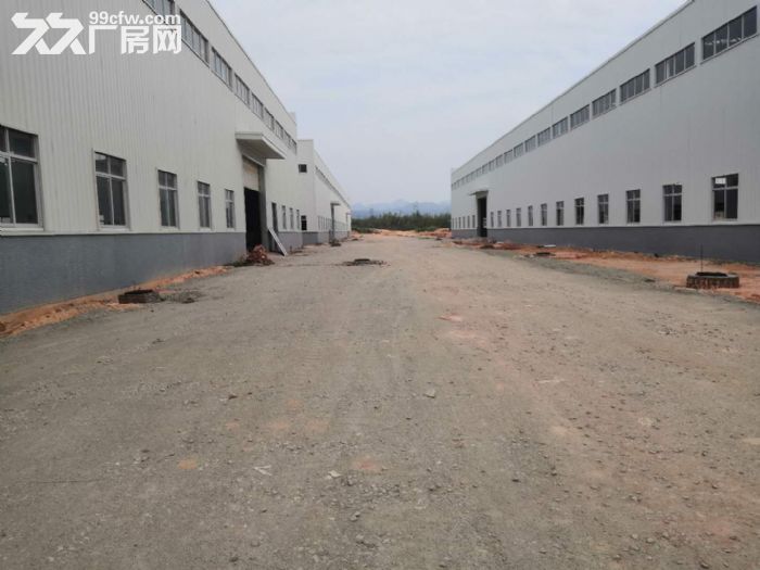 江门台山工业新城独院空地大50000平方厂房仓库招租-图7