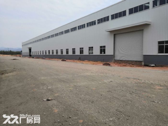 江门台山工业新城独院空地大50000平方厂房仓库招租-图8