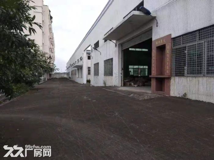 台山有排污指标工业厂房6000平方招租，可分租，空地大-图5