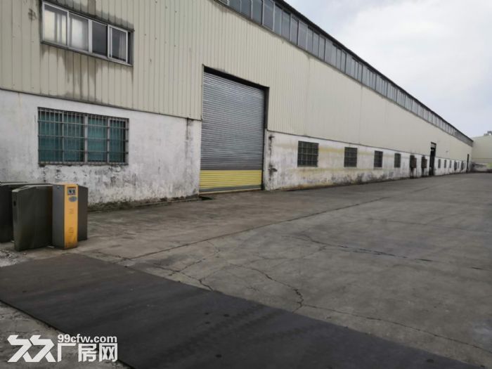 台山有排污指标工业厂房6000平方招租，可分租，空地大-图1