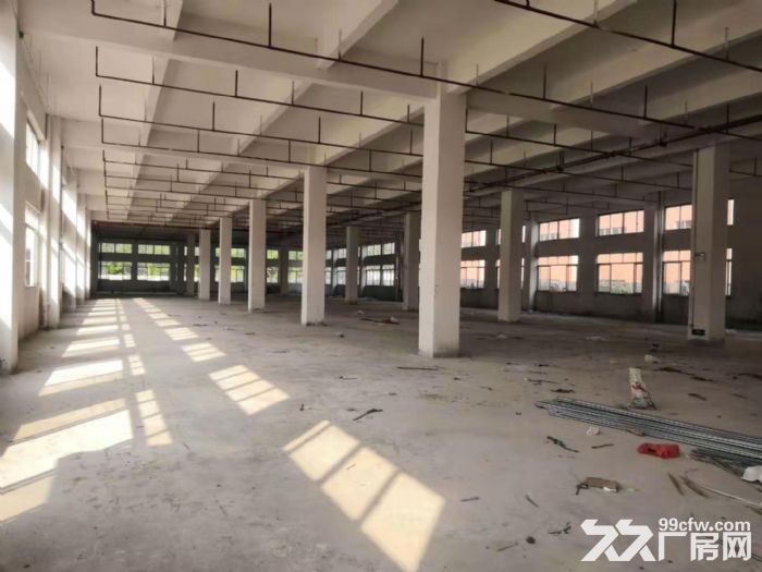 台山水步工业区形像好标准电梯厂房3000平方招租-图2