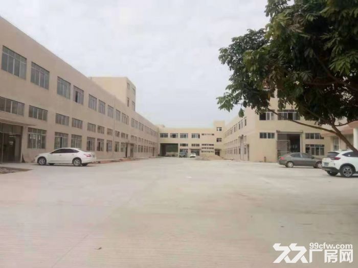 台山水步工业区形像好标准电梯厂房3000平方招租-图5