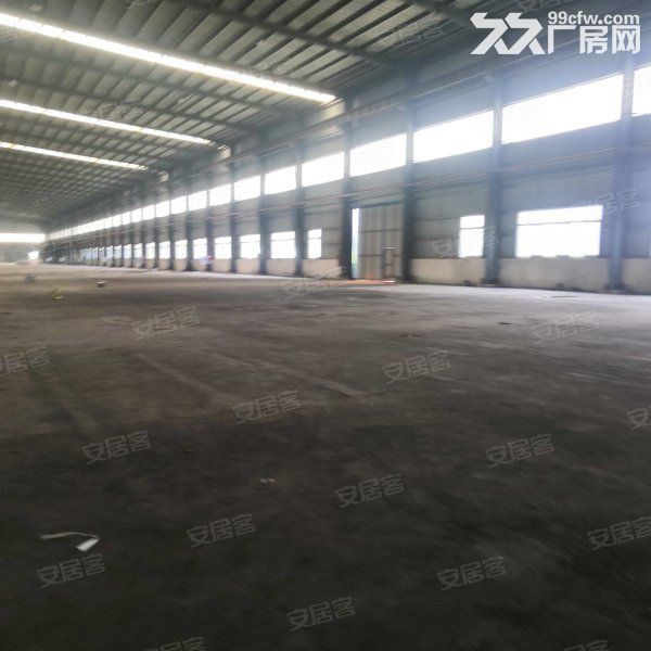 台山工业新城厂房招租，面积300至2000，大小都有-图3