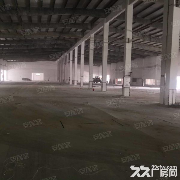 台山工业新城厂房招租，面积300至2000，大小都有-图5