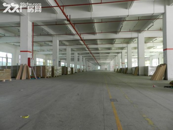 台山工业新城厂房招租，面积300至2000，大小都有-图6