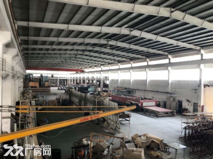 台山工业新城独院单一层10米高钢构厂房3500方招租-图1