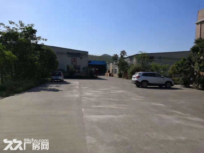 台山单一层钢构独门独院厂房6500平方招租-图3