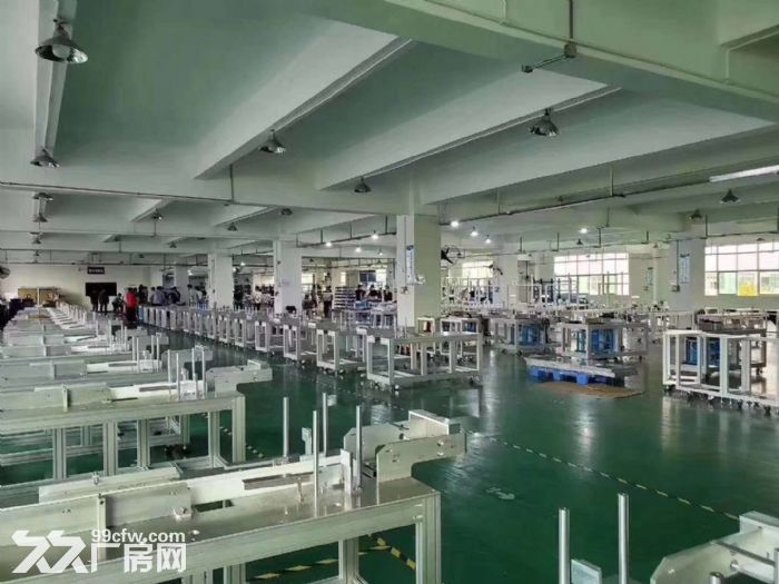 专业代理江门五邑地区厂房，仓库，地皮租售业务-图4