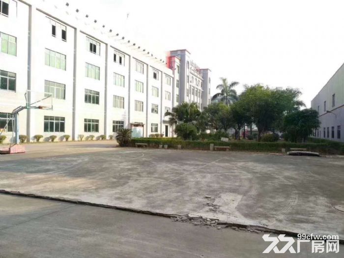 专业代理江门五邑地区厂房，仓库，地皮租售业务-图7