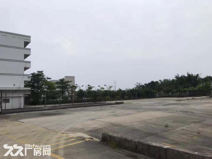 台山台城陈宜禧路周边1800~2500方厂房，10元/方-图3