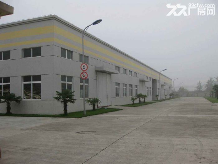 江门杜阮单一层厂房面积4500平方,可以分租-图2