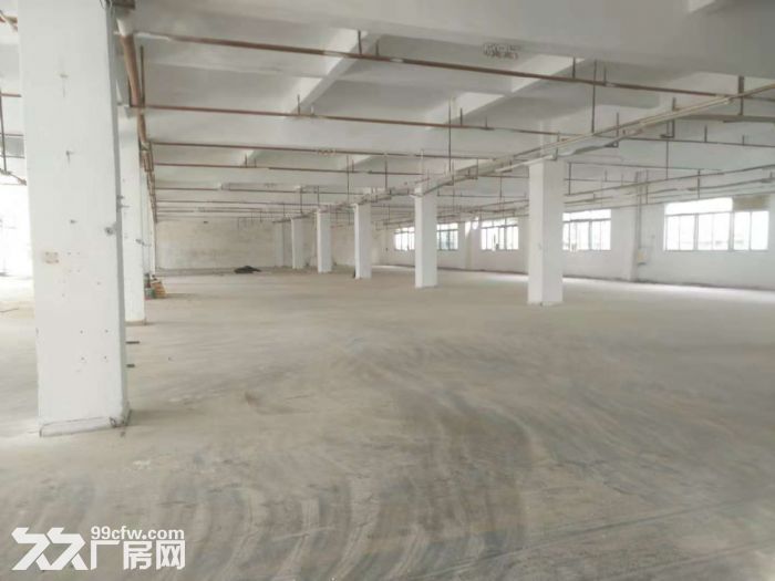 台山水步文华工业区独院一楼标准厂房1600平方出租-图1