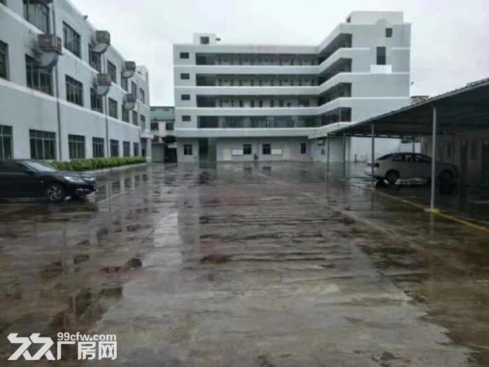 台山水步文华工业区独院一楼标准厂房1600平方出租-图3