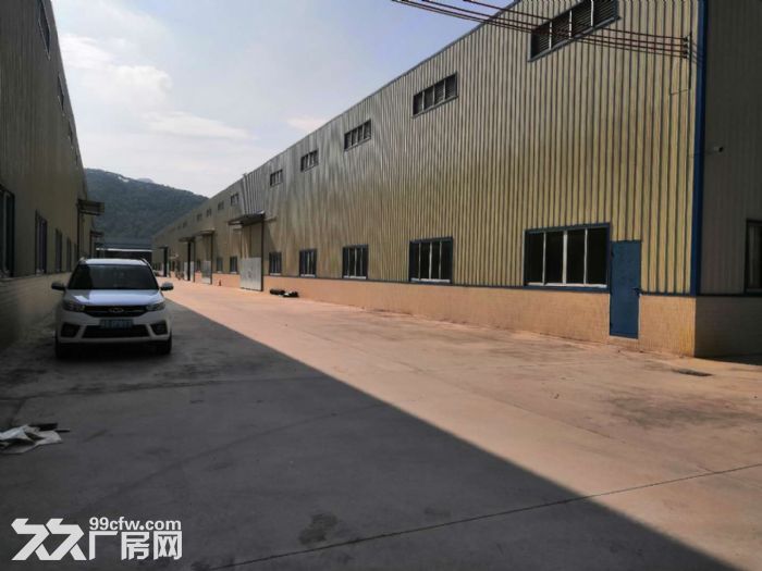出租开平市水口3000平方独院单一层钢结构厂房-图6