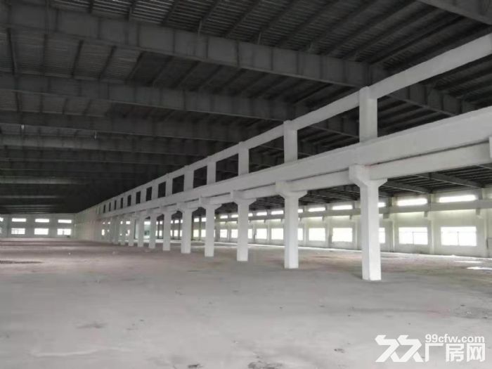 台山水步工业区独院单一层厂房10000平方招租-图4