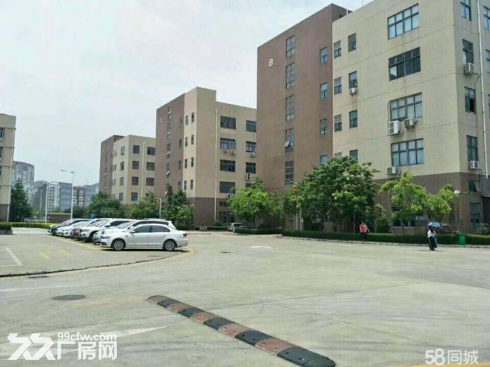 龙东高速路口大工业区2楼2402平招租，-图1