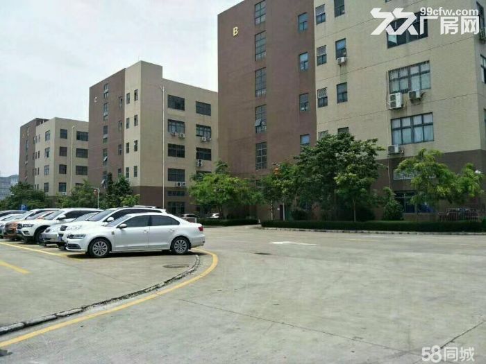 龙东高速路口大工业区2楼2402平招租，-图2