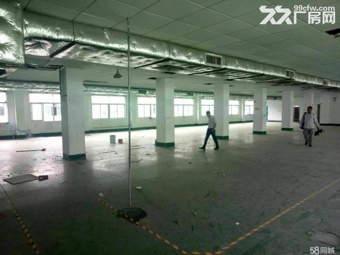 龙东高速路口大工业区2楼2402平招租，-图3