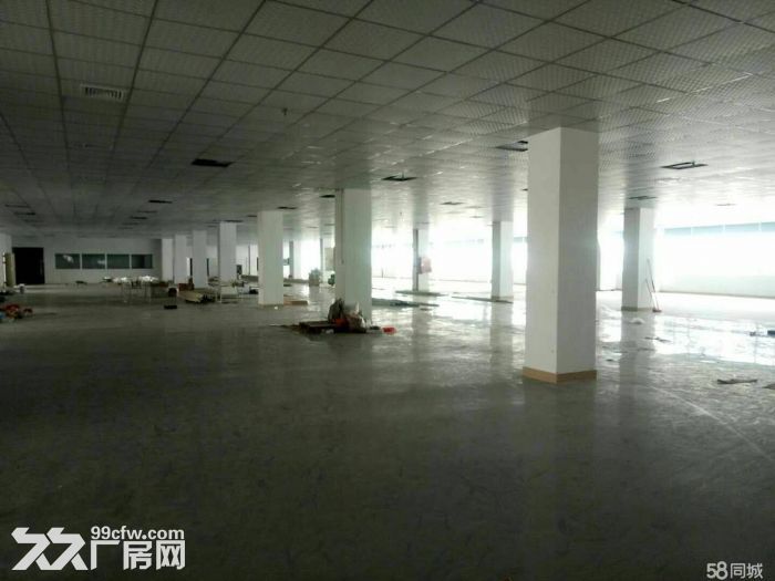 龙东高速路口大工业区2楼2402平招租，-图4