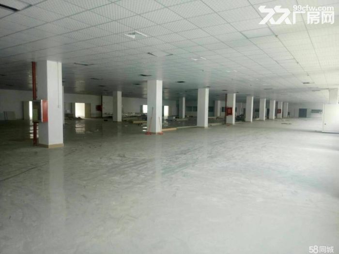 龙东高速路口大工业区2楼2402平招租，-图5