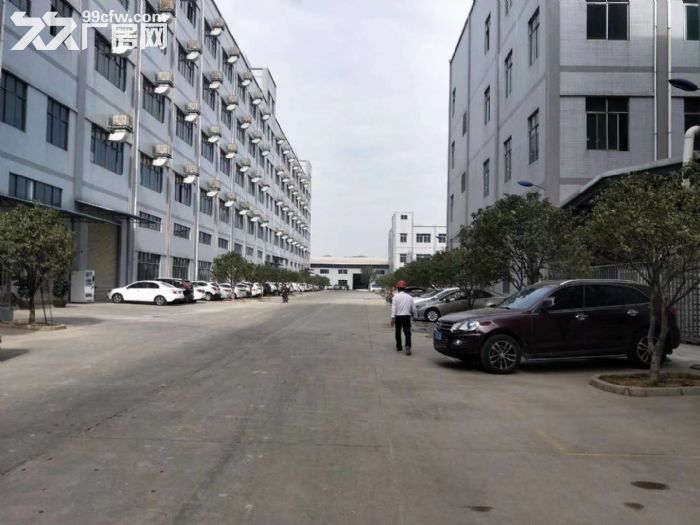 江门蓬江荷塘现装修贸易办公型厂房仓库1000至5000出租-图2