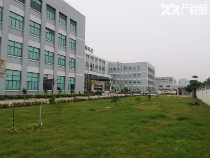 江门蓬江荷塘现装修贸易办公型厂房仓库1000至5000出租-图4