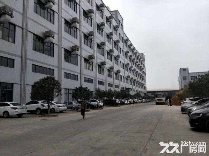 江门蓬江荷塘现装修贸易办公型厂房仓库1000至5000出租-图5