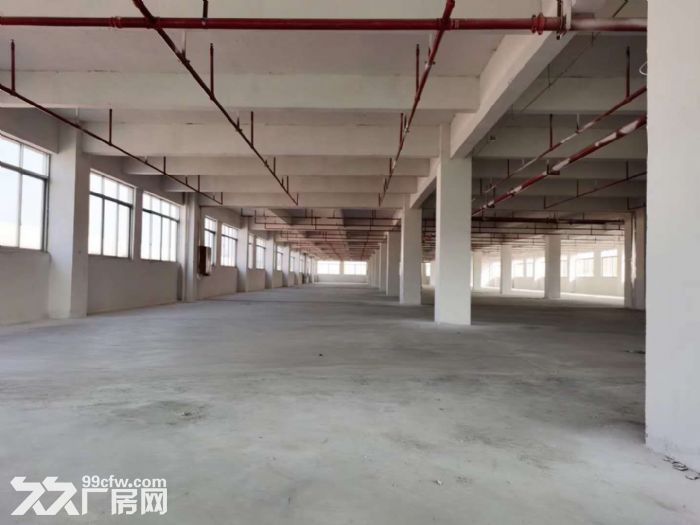 鹤山工业新城独院1至2层标准框架结构厂房4000平方招租-图2