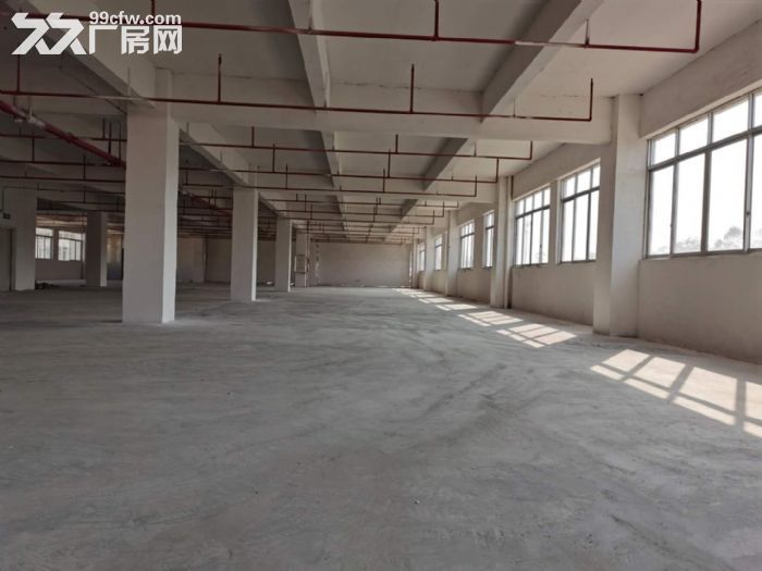 鹤山工业新城独院1至2层标准框架结构厂房4000平方招租-图4