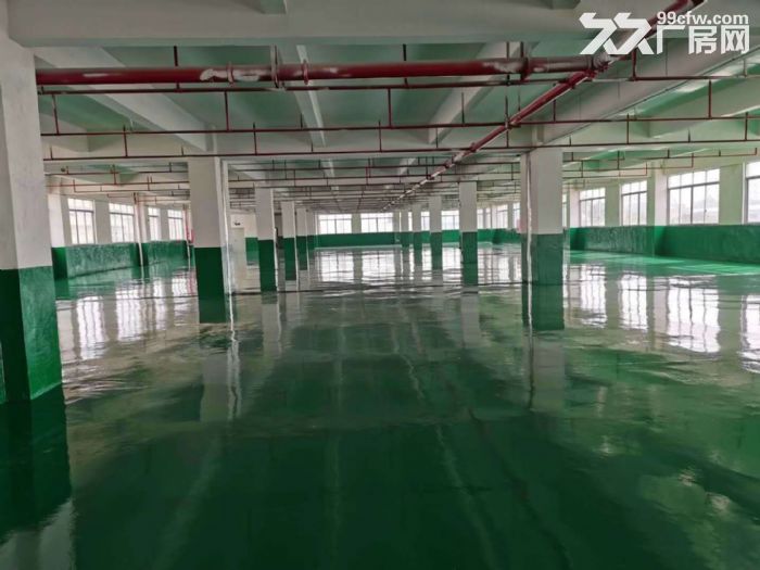 鹤山工业新城独院1至2层标准框架结构厂房4000平方招租-图5