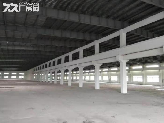 江门新会独院工业园钢构厂房仓库出租3000平方-图2
