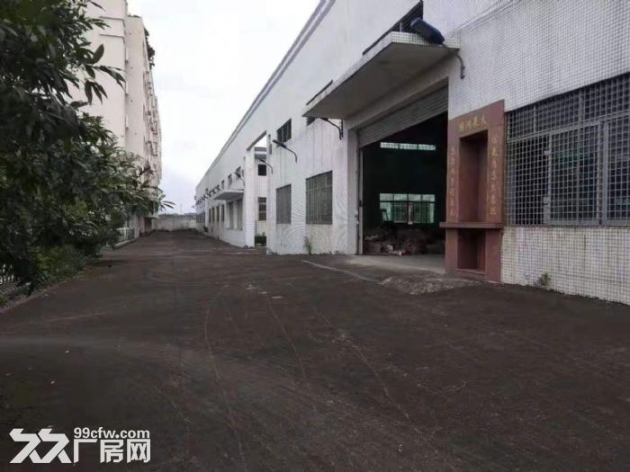 江门新会独院工业园钢构厂房仓库出租3000平方-图1