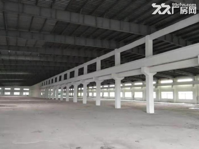 江门新会独院工业园钢构厂房仓库出租3000平方-图3