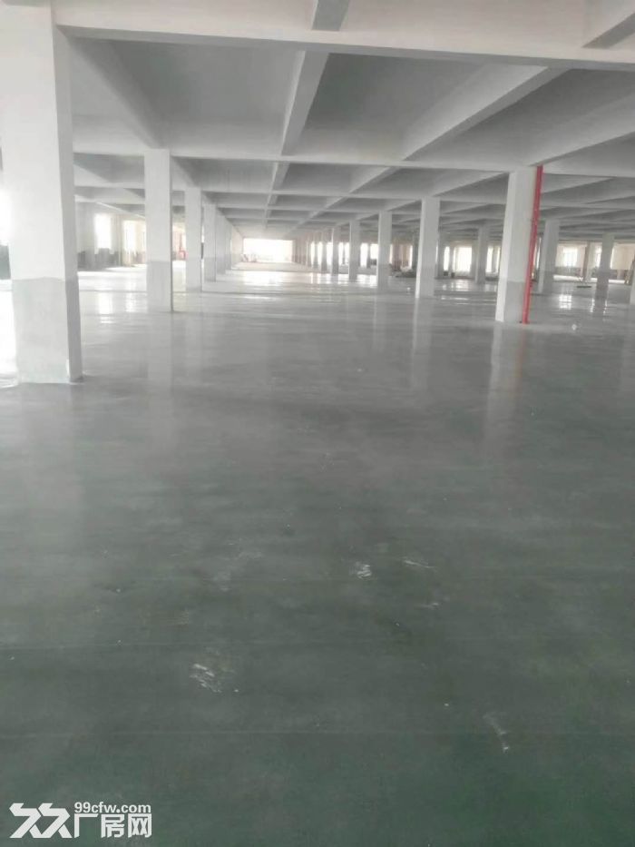 专业代理江门蓬江荷塘镇各村工业区厂房仓库土地租售业务-图4