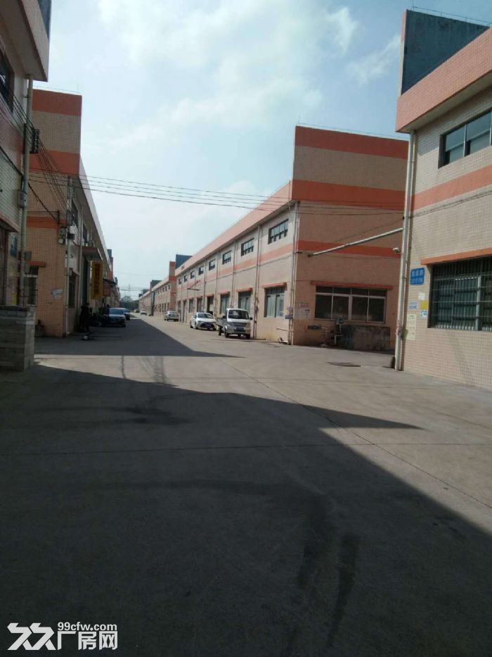 专业代理江门蓬江荷塘镇各村工业区厂房仓库土地租售业务-图7