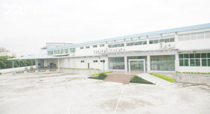 8000平方方单一层物流仓库厂房招租-图1