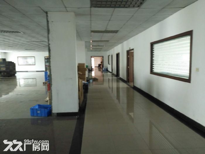 8000平方方单一层物流仓库厂房招租-图5