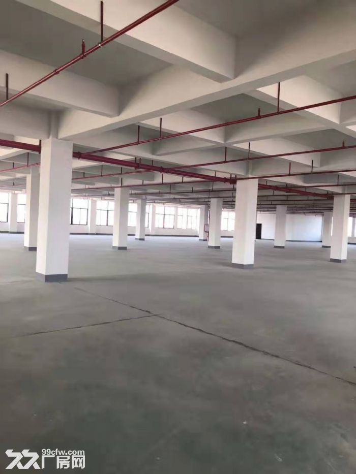 江门蓬江杜阮独院厂房6800平方！形象靓丽!内部精装修-图4