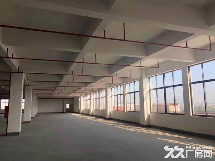 江门蓬江杜阮独院厂房6800平方！形象靓丽!内部精装修-图3