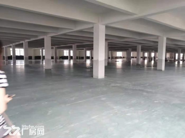 蓬江杜阮全新高标准厂房1−3楼总面积20000平方招租，可分租-图3
